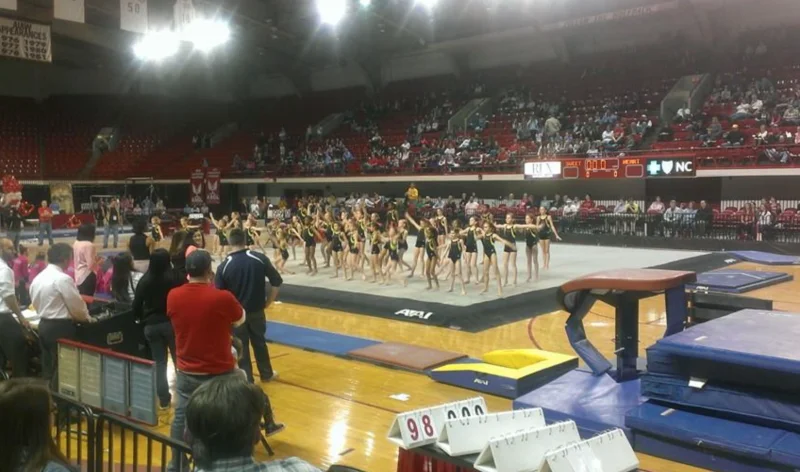 Team Attraction Gymnastics