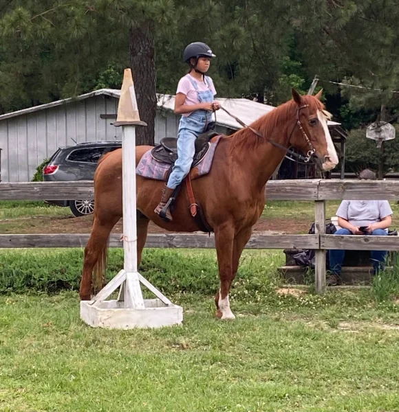 Bit of Pleasure Horse School