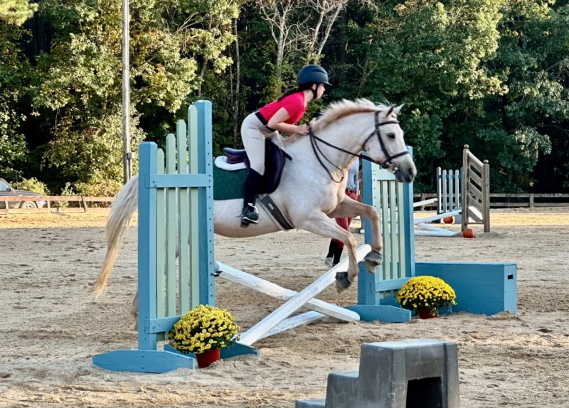 MacNair's Country Acres