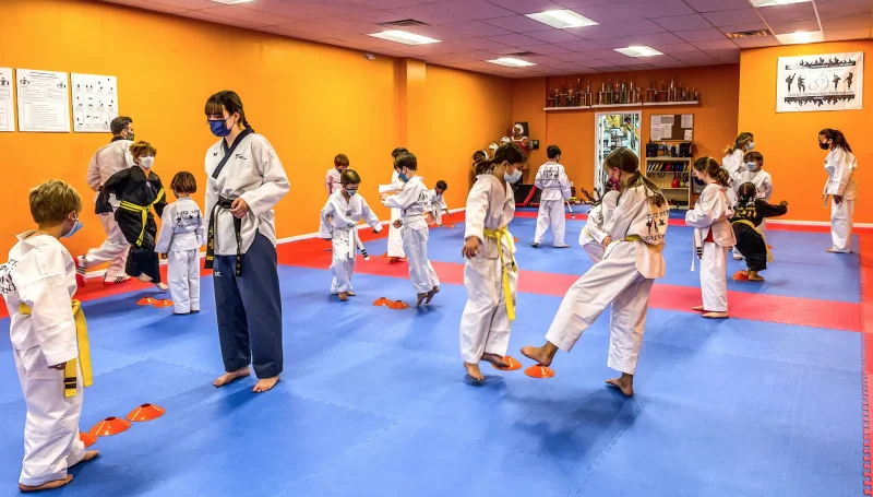 Elite Fire Taekwondo