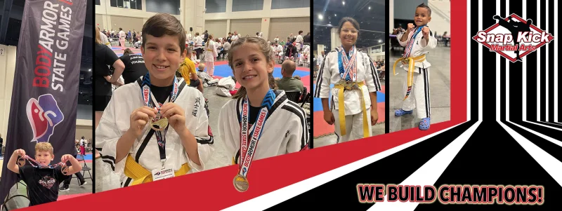 Snap Kick Martial Arts