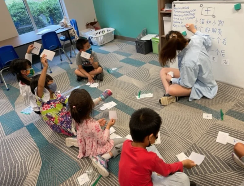 Triangle Learning Academy