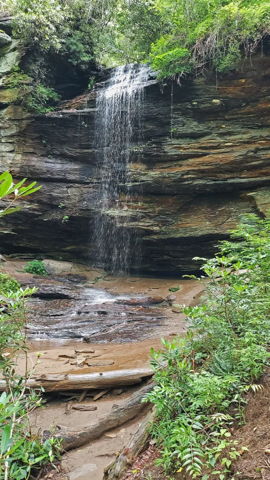 Moore Cove Falls