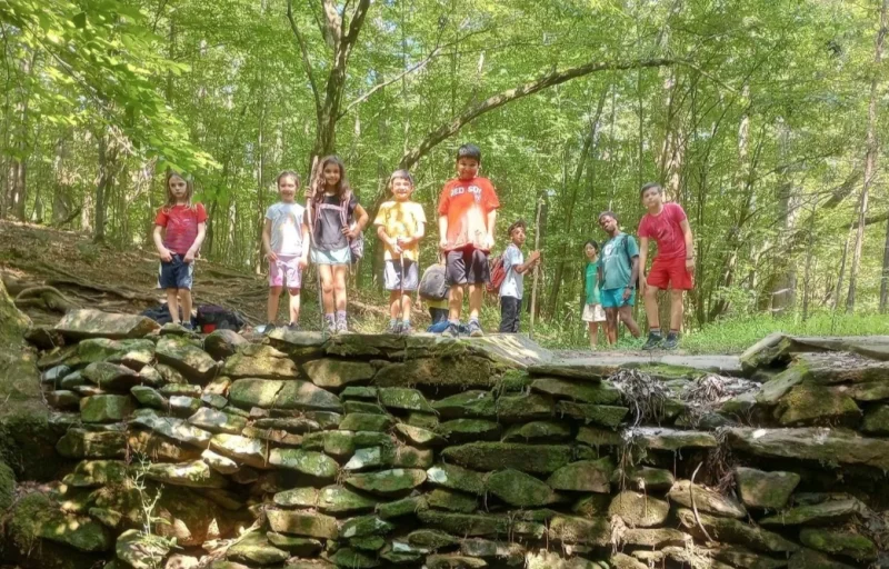 Piedmont Wildlife Center