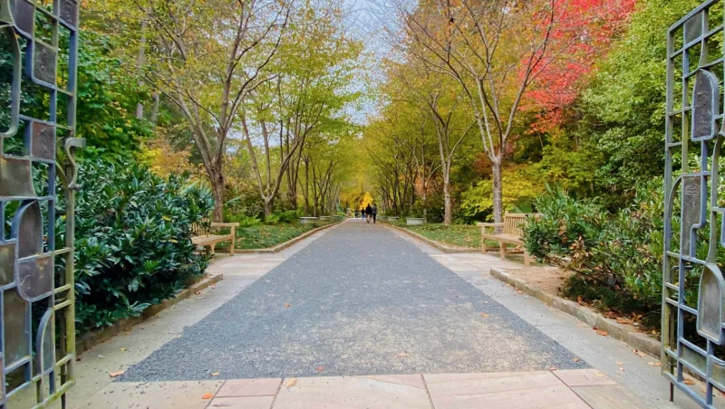 Sarah P. Duke Gardens