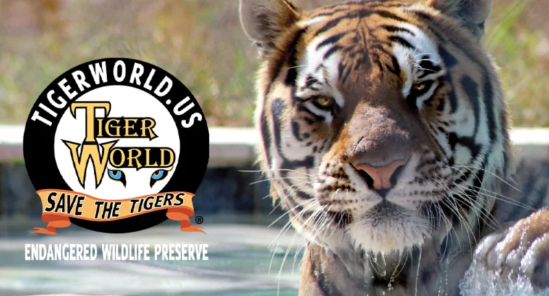 Tiger World