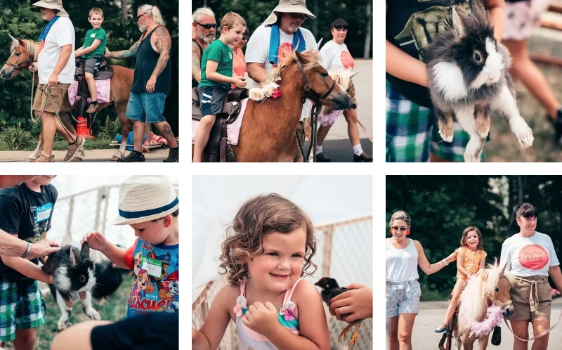 PARTY PONY & FRIENDS, LLC