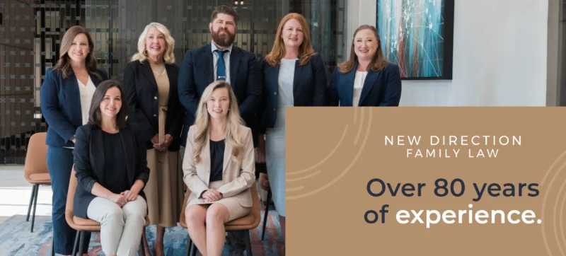 New Direction Family Law