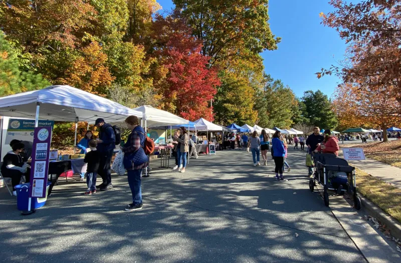 Holly Springs Farmers Market