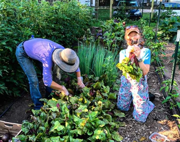 Camden Street Learning Garden