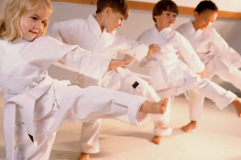 Bushiken Karate Saint-Cyr Dojo