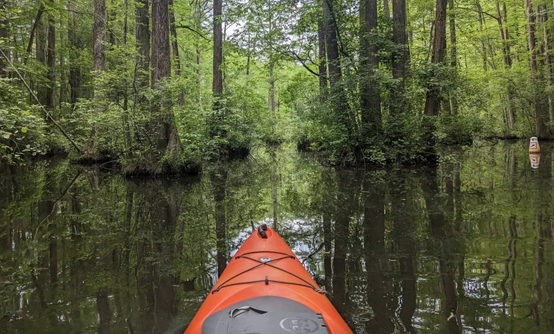 Robertson Millpond Preserve