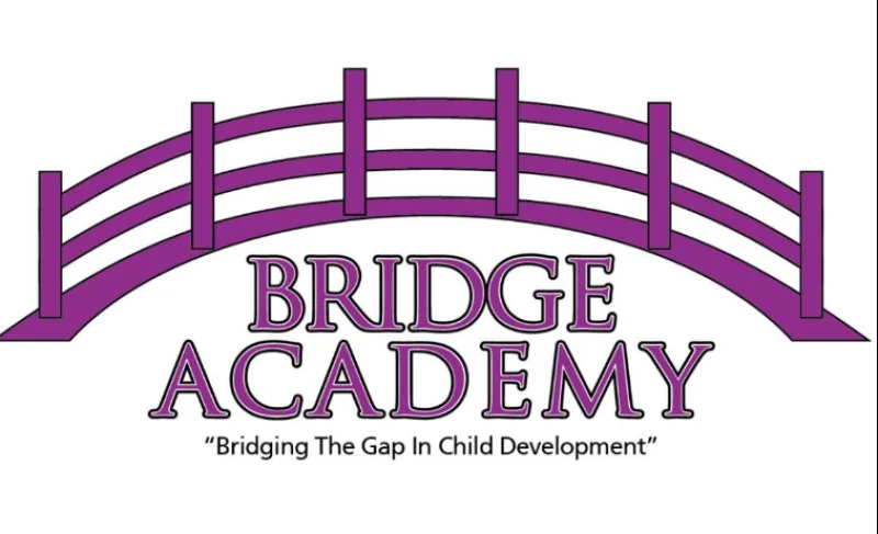 Bridge Academy