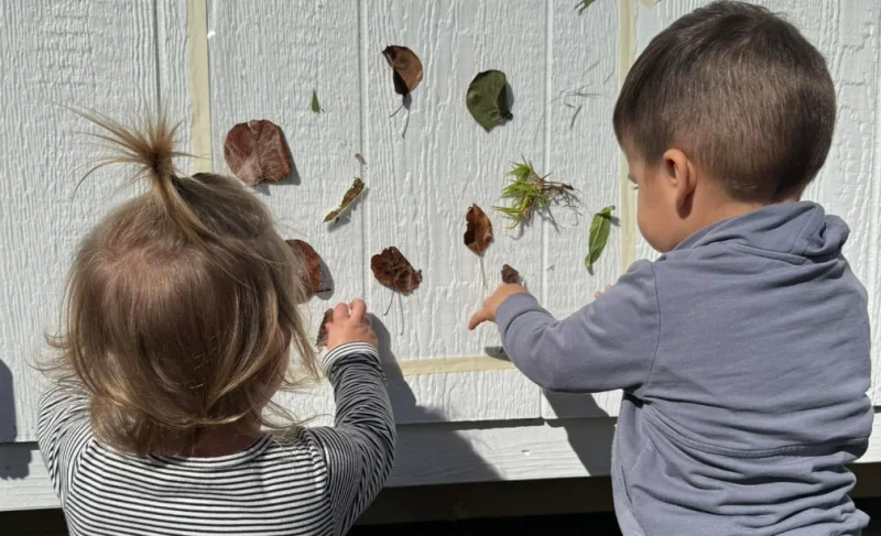 Daisies & Ducklings Preschool