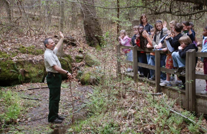 Clemmons Educational State Forest