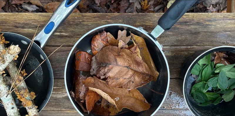 Forest Kids Nature School