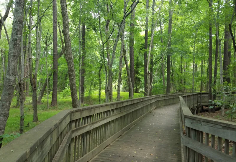 Knightdale Environmental Park