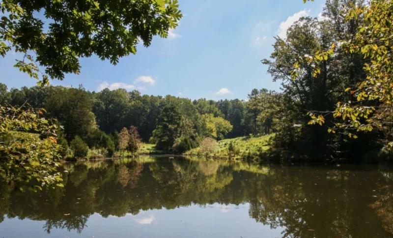 Annie Louise Wilkerson, MD Nature Preserve Park