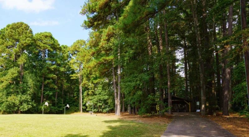 Kingwood Forest Park