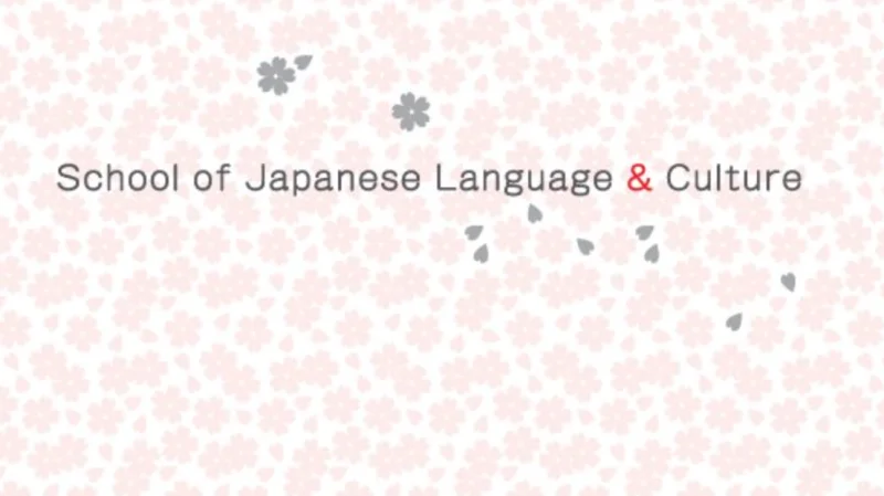 Japan Culture Exchange