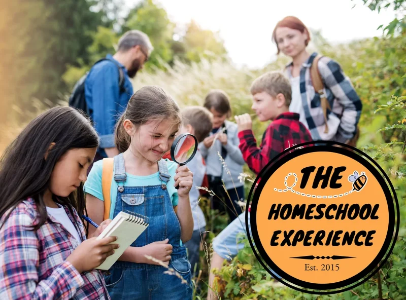 The Homeschool Experience