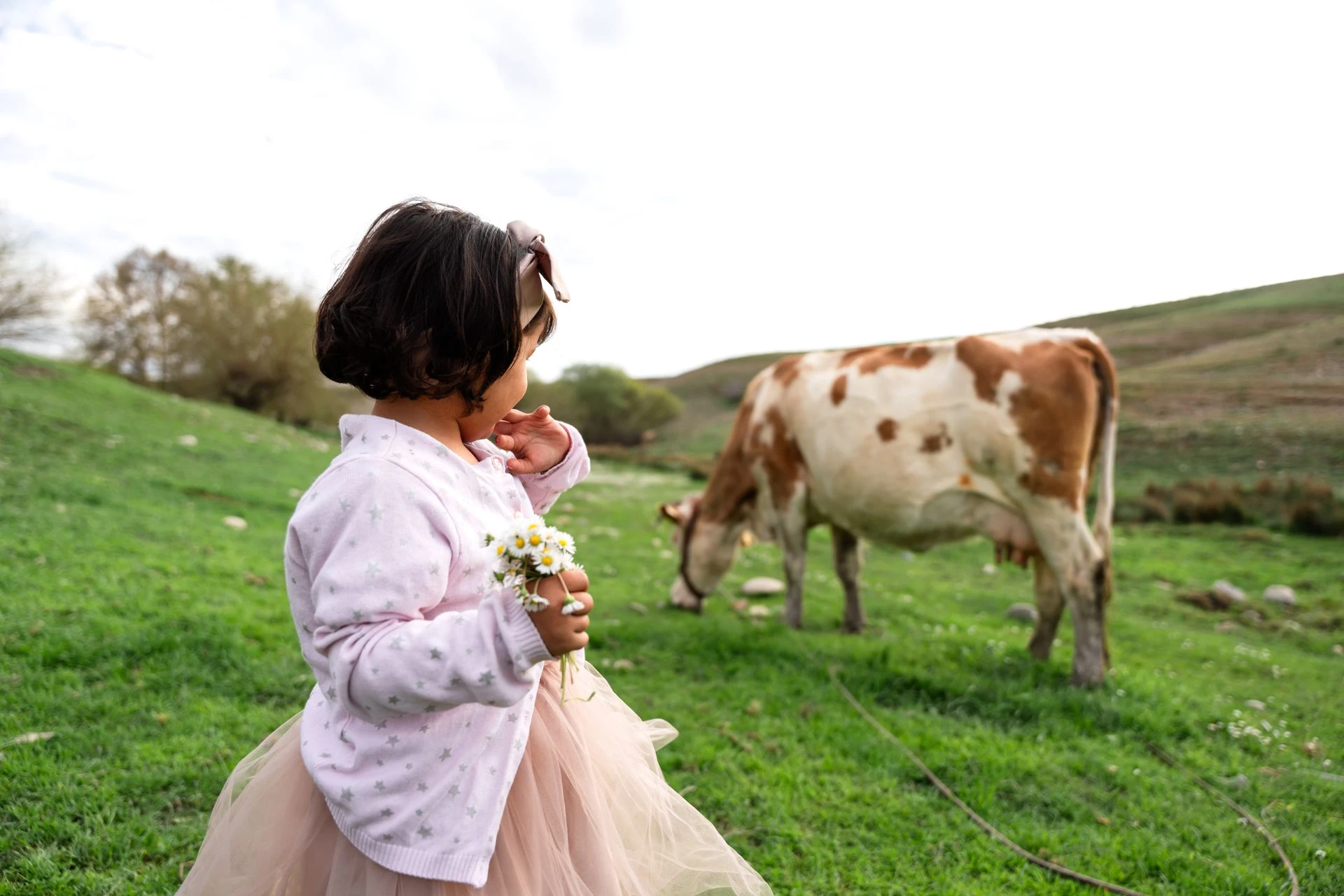 Kids yoga & animal yoga classes around Raleigh